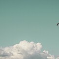 Mint Skies and Fluffy Clouds #1 - Nature Clouds Photography