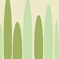 Poplar Forest - Minimal Geometric Landscape